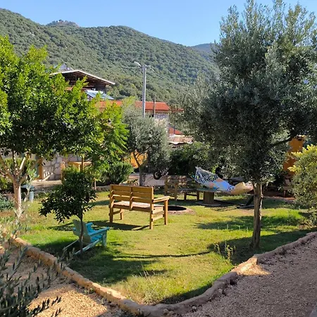 Joy Glamping Campsite