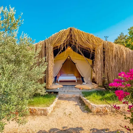 Joy Glamping Campsite *